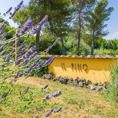 Holiday Home Pino Di Sopra By Interhome-2
